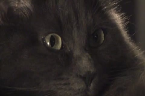 TIERY B. - Copyright // stunning Erotic Sex II