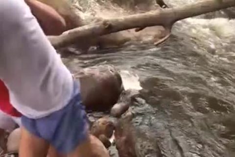 Latino dude Gives oral And Jacks Off In A Stream outdoors