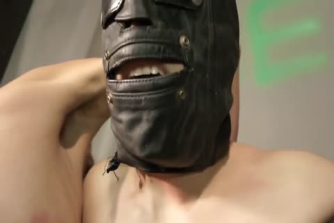 Gay bondage sex scene HD