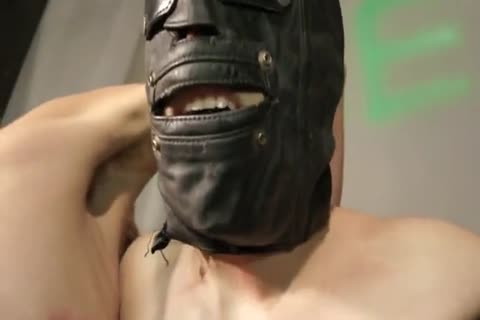 bdsm bondage lad Whipped, Waxed, Milked