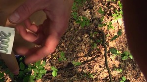 Tatted-up guy pulls down his jeans and bonks outside
