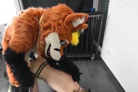 Puppy receives poked By Fursuit With  fake penis