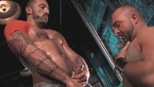 Mature feels in need of sex scene