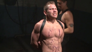 AA3_Stud ready To Endure Anything