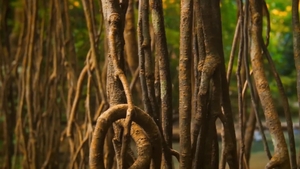 Men: Hunger Satisfied with a Taste of Cock