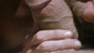 Falcon Studios: Speedboat Studs Set Sail for Sin