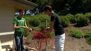 Next Door Twink: The Curiosity That Got Harder