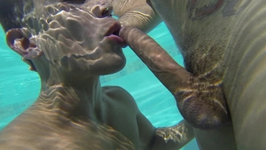 Falcon Studios: Poolside Passions: California Dreamin'