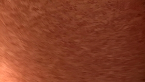 Debt Dandy: Priceless Prick in the Countryside